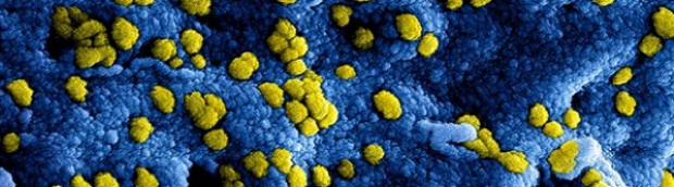 Expertisecentrum bekijkt gevolgen coronacrisis klanten