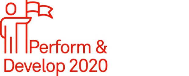 Nice to know: Update Perform & Develop