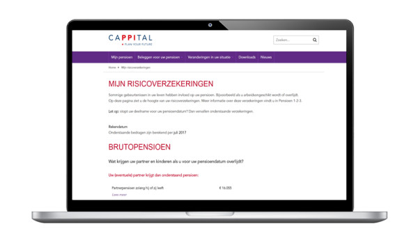 Mijn risicoverzekeringen: inzicht in pensioen vóór pensioendatum